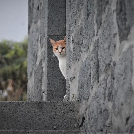 Belo Campo - Ilha Do Faial 3*