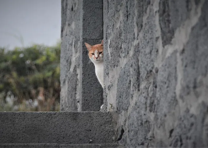 Belo Campo - Ilha Do Faial 3*