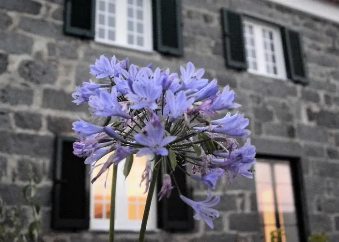 Belo Campo - Ilha Do Faial 3*